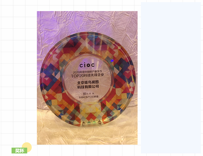 蜂鸟视图获评“2020CIOC中国地产数字力科技先锋企业”(图1) 奖杯