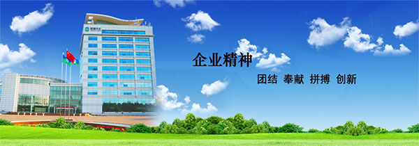 蜂鸟视图 | 回顾过去，感恩同行，共创未来(图6)